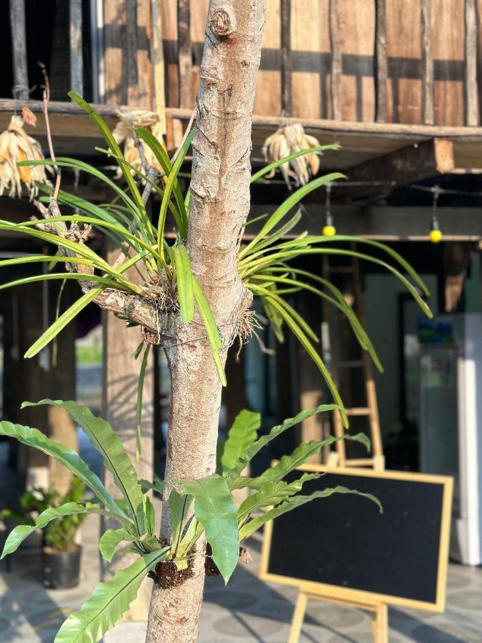 Du Gia Thu'S Homestay Làng Cac Esterno foto