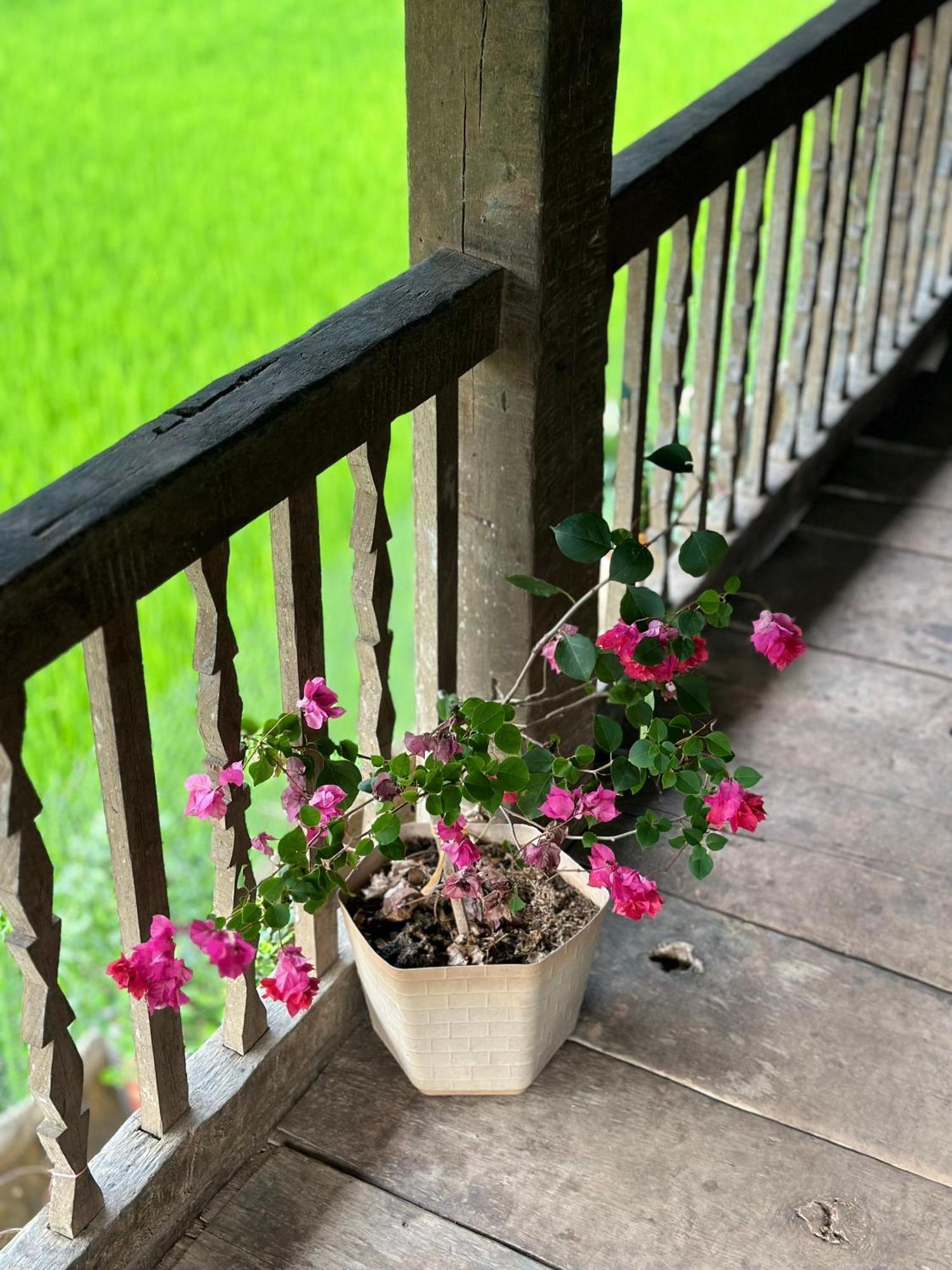 Du Gia Thu'S Homestay Làng Cac Esterno foto